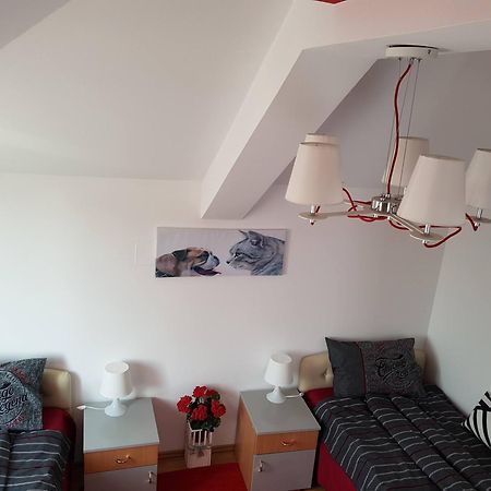 Lux Apartments With Pool Dex Zemun Polje 部屋 写真