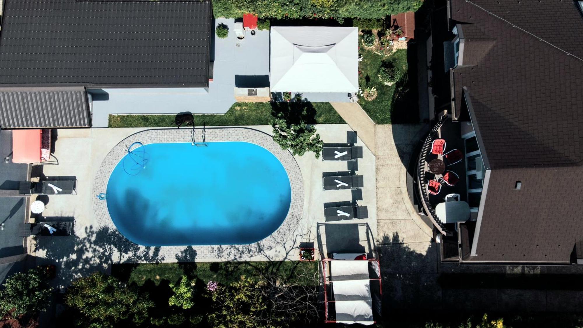 Lux Apartments With Pool Dex Zemun Polje エクステリア 写真