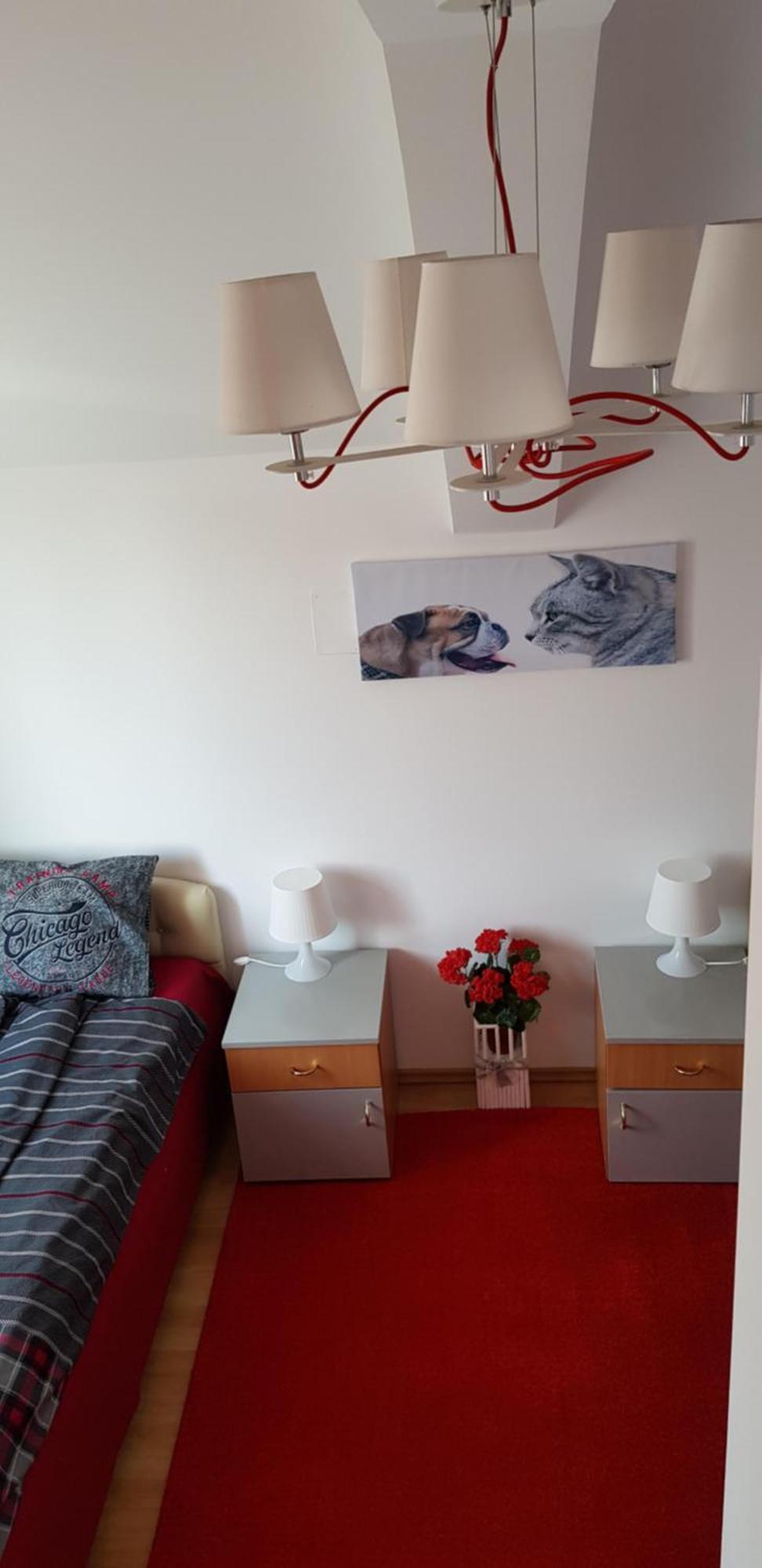 Lux Apartments With Pool Dex Zemun Polje 部屋 写真