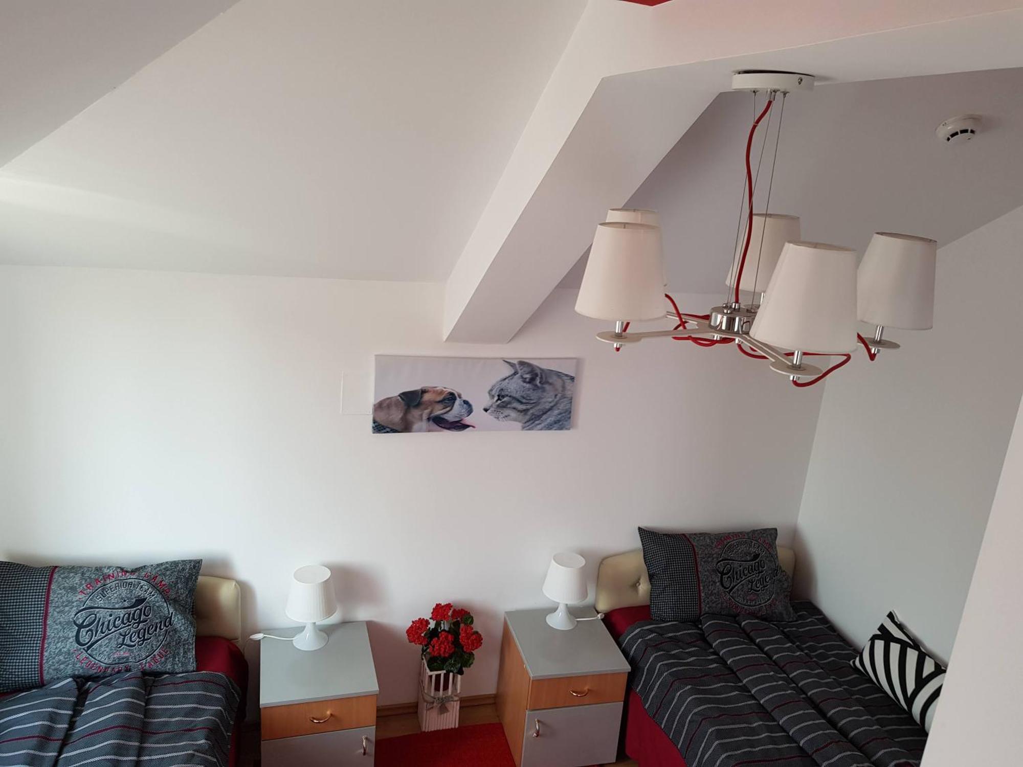 Lux Apartments With Pool Dex Zemun Polje 部屋 写真